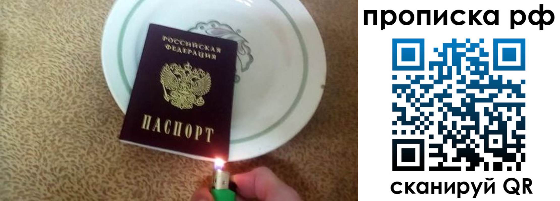 прописка законно в Краснодаре